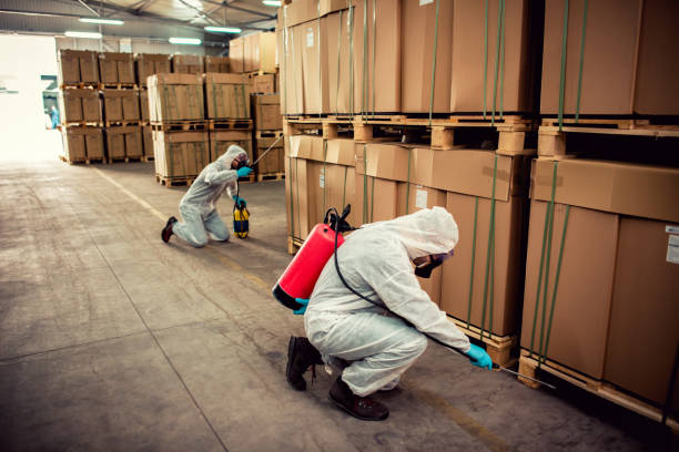 Best Best Pest Control Companies  in Agua Dulce, TX