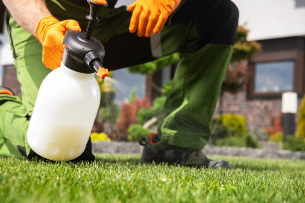 Best Exterminator Services  in Agua Dulce, TX