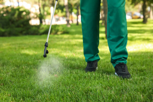Reliable Agua Dulce, TX Pest Control Solutions