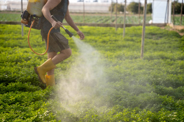 Best Pest Prevention Services  in Agua Dulce, TX