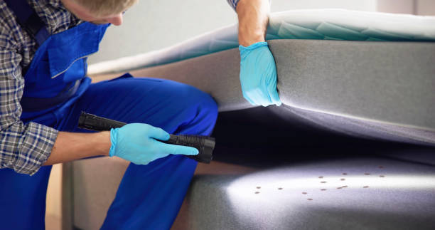 Best Emergency Pest Control  in Agua Dulce, TX