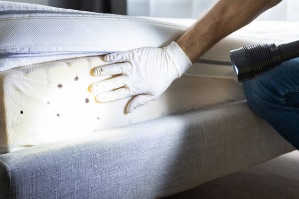 Best Pest Inspection Near Me  in Agua Dulce, TX