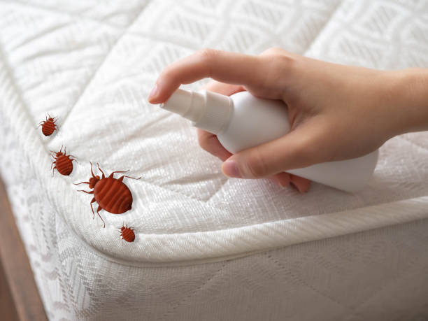 Best Residential Pest Control  in Agua Dulce, TX