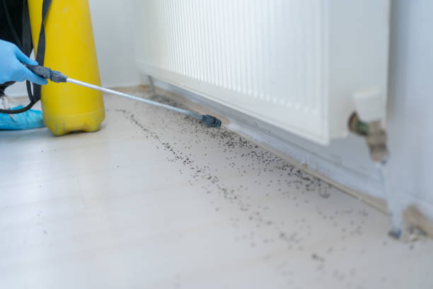 Best Best Pest Control Companies  in Agua Dulce, TX