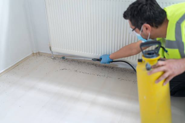 Trusted Agua Dulce, TX Pest Control Experts
